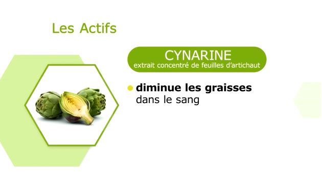 Articollagen les actifs