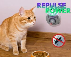 Répulsif électronique